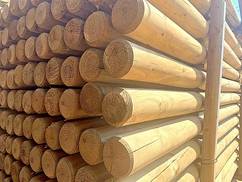 Pali tondi legno senza - pali,