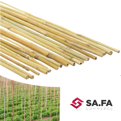 Canna bamboo tutore supporto - canna,