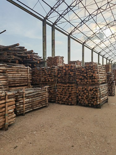 Pali legno castagno - pali,